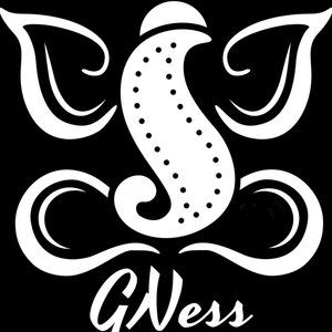 About GNess